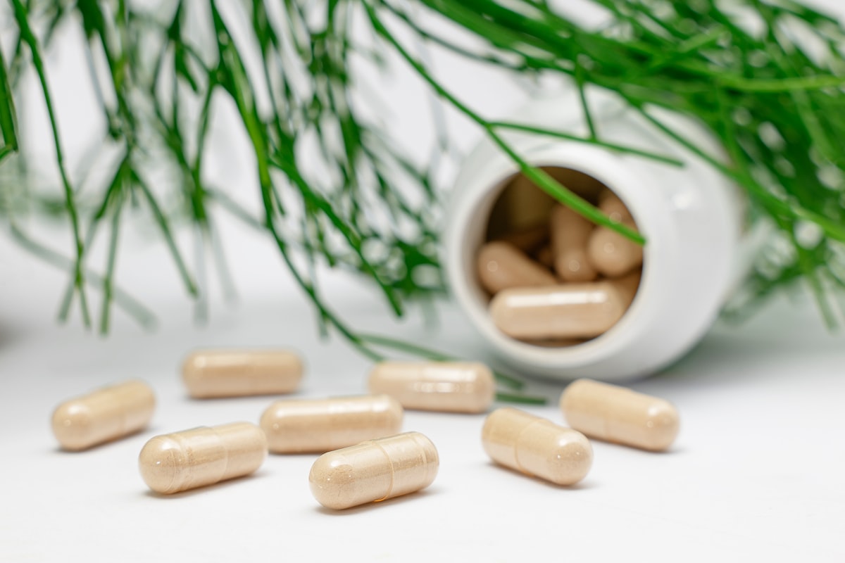 Daily wellness and nutrition support